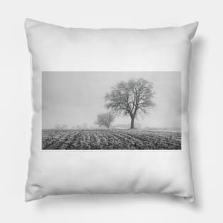 Winter Fields Pillow