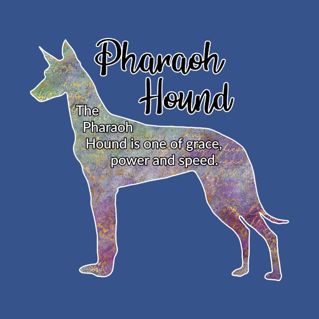 Pharaoh Hound by ApolloOfTheStars