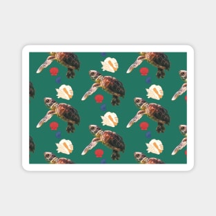 Teal Sea Turtle Pattern Magnet