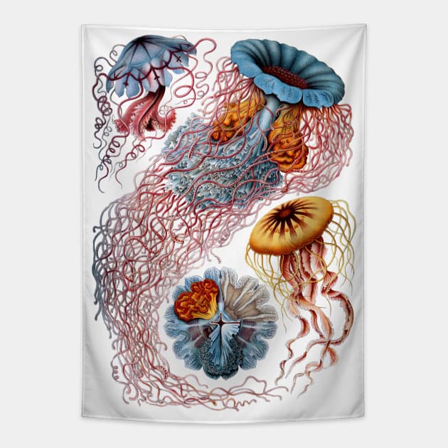 Jellyfish by Ernst Haeckel Tapestry by MasterpieceCafe