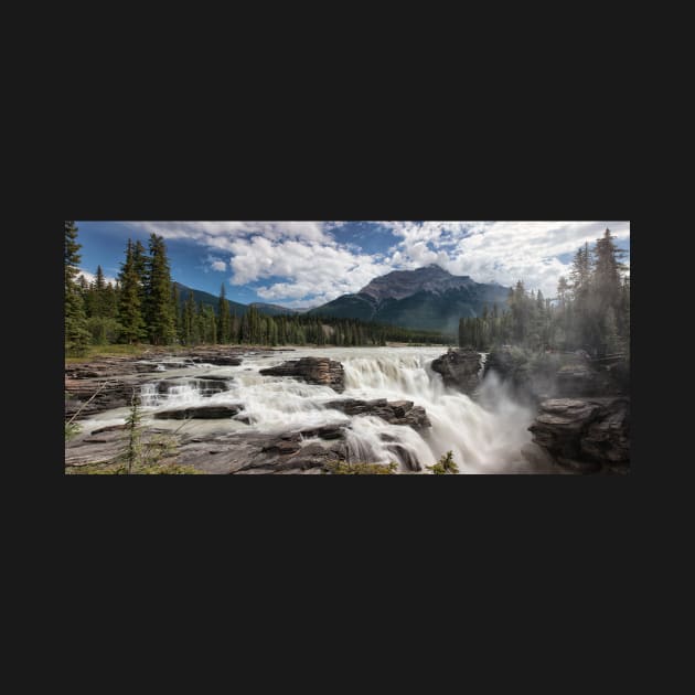 Roaring Athabasca Falls by krepsher