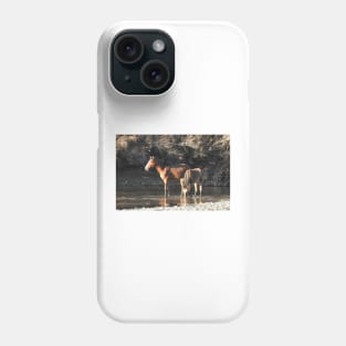 Wild Horses, Salt River, Arizona Phone Case