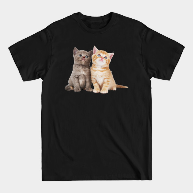 Discover Cute Kittens - Cute Kittens - T-Shirt