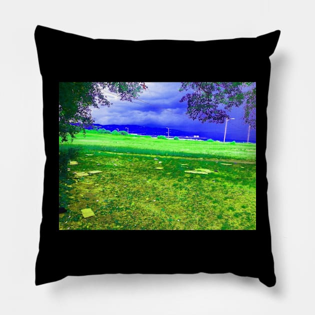 The Coastline Pillow by Hybrid Visual