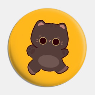 Cat Pin