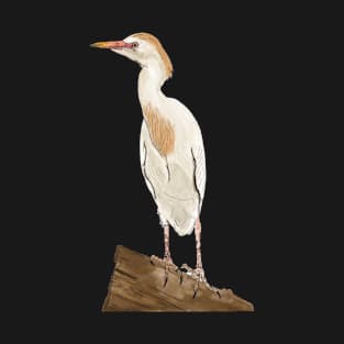 White Cattle Egret Drawing T-Shirt