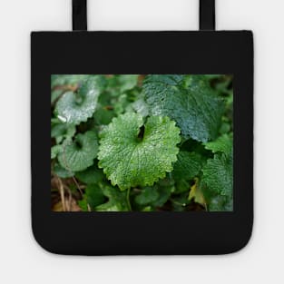 Green leaf look like dinosaur Tote