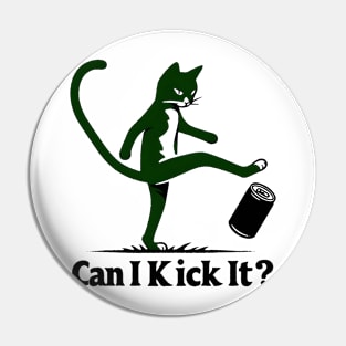 can i kick it - cats Pin