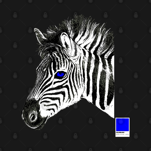 ZEBRA BLUE - white full  by COLORBLIND WorldView by DREAM SIGNED Collection