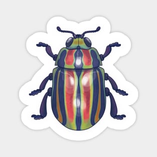 Rainbow Beetle Magnet