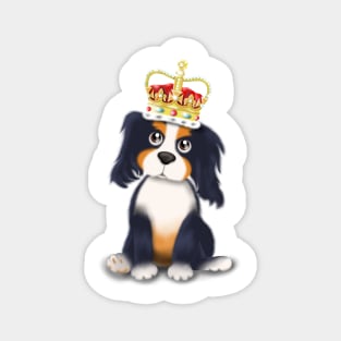 King Charles Cavalier Magnet