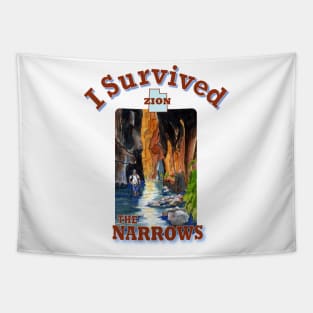 I Survived The Narrows Hike, Zion Tapestry