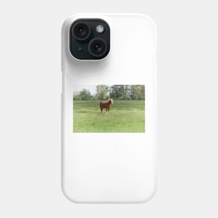 Lonely sorrel horse on green pasture Phone Case