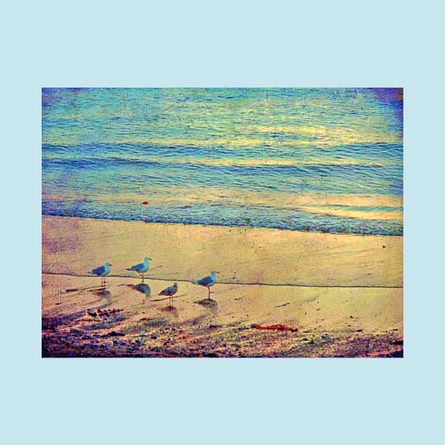 Beach Patrol by aTypical bird