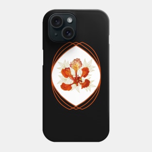 Flamboyant Flower - tropical Tree - Africa Phone Case