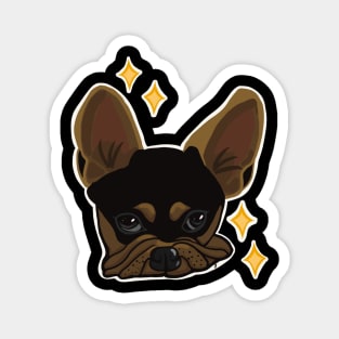 Cute Boston Terrier Magnet