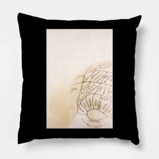 Reasoning - The Phrenology Series Pillow