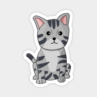 Cute American Shorthair Cat Magnet