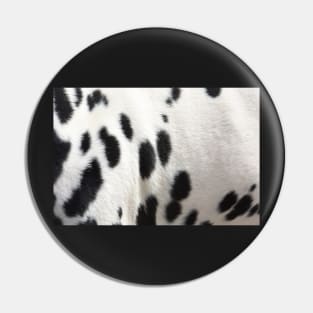 Dalmatian Dog Fur Pin