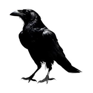 The black and shadowy Crow T-Shirt