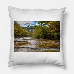 Taughannock Creek Tompkins County New York Pillow