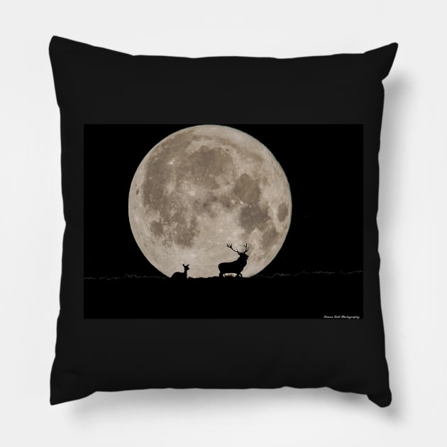 stags by the moon Pillow by Simon-dell