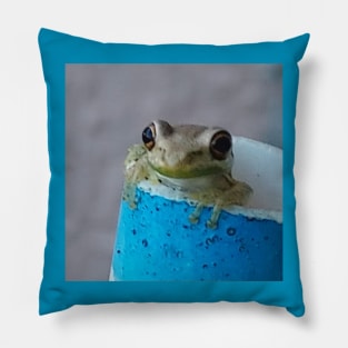 Froggie 2 Pillow