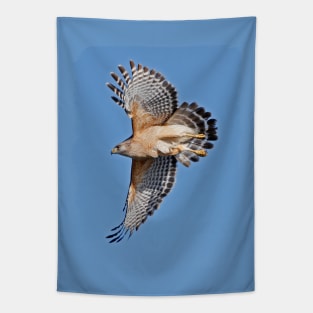 Red-Shouldered Hawk Tapestry