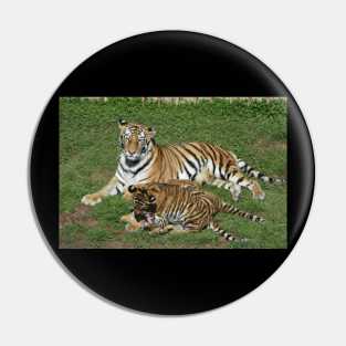 Tiger Mom and Cubs Pin