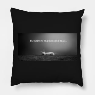 Journey... Pillow