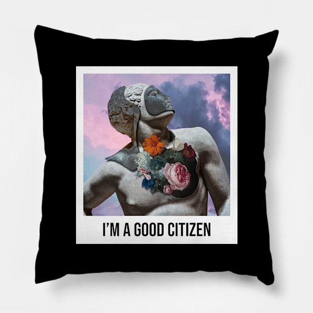 I'm A Good Citizen Pillow by Why.id