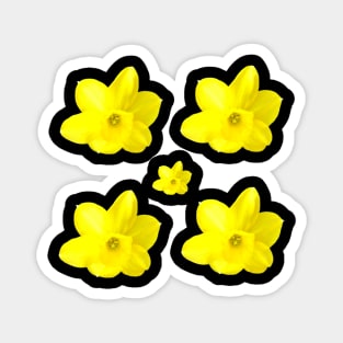 Five Yellow Flowers Magnet