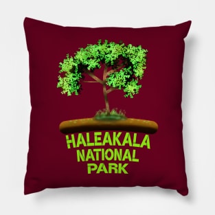 Haleakala National Park Pillow