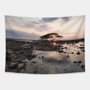 Single tree at Gili Trawangan beach Tapestry