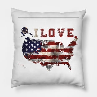 I love the USA Pillow