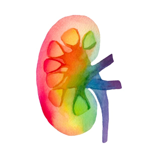 Watercolor Rainbow Kidney (white) by ayemfid