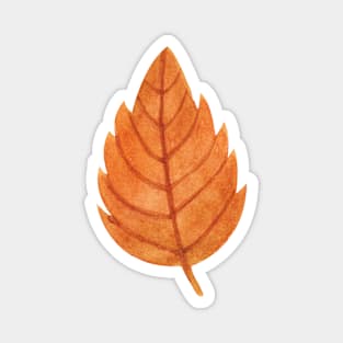 fall autumn leaf Magnet