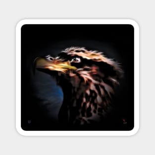 AMERICAN BALD EAGLE Magnet