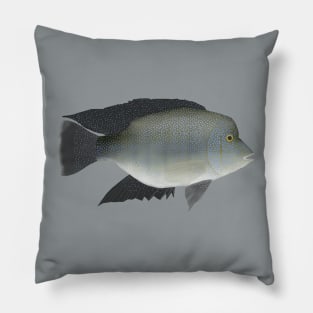 Rio Grande Cichlid Pillow