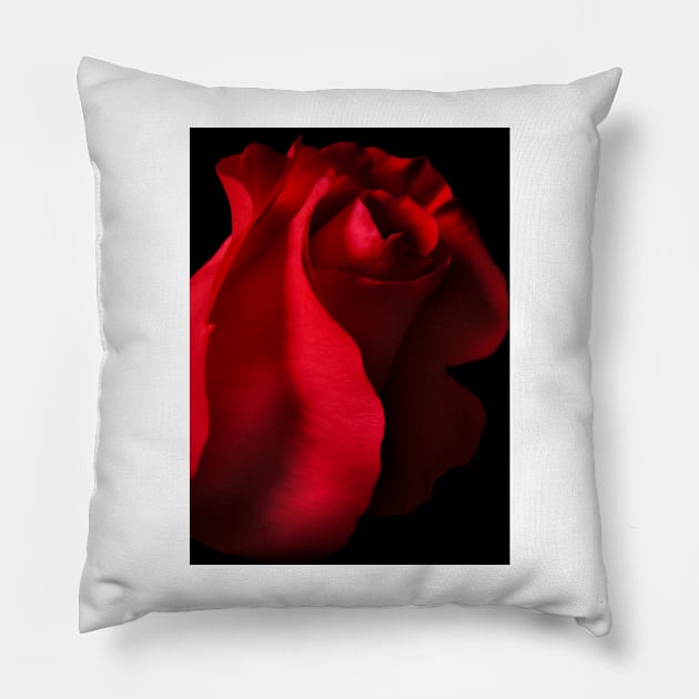 You Kissed My Soul Pillow by nikongreg