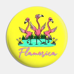 Flamerica Flamingos Pin