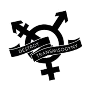 Destroy Transmisogyny - T-Shirts T-Shirt