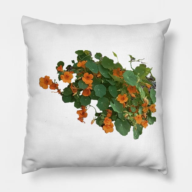 Wild Yellow Nasturtium Pillow by mindprintz