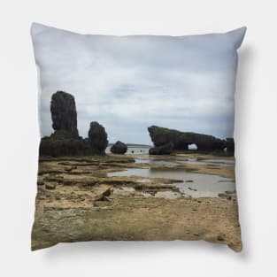 Tomarigusuku Park Pillow