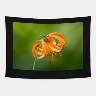 Tiger Lily Tapestry