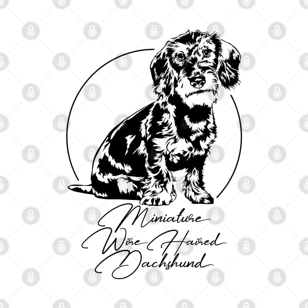 Funny Miniature Wire Haired Dachshund dog portrait by wilsigns