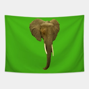 Elephant Portrait Tapestry