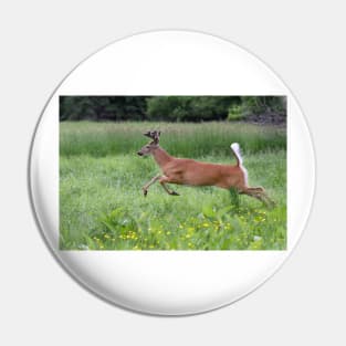 White-tailed Buck Pin