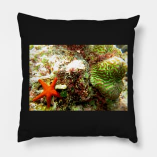 Starfish Pillow