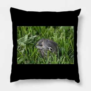 Baby Bunny Pillow